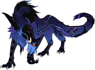Custom Custom